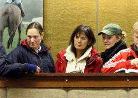 At Goffs November Foal Sale.