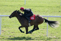 Lot 16 Breeze Up 2
